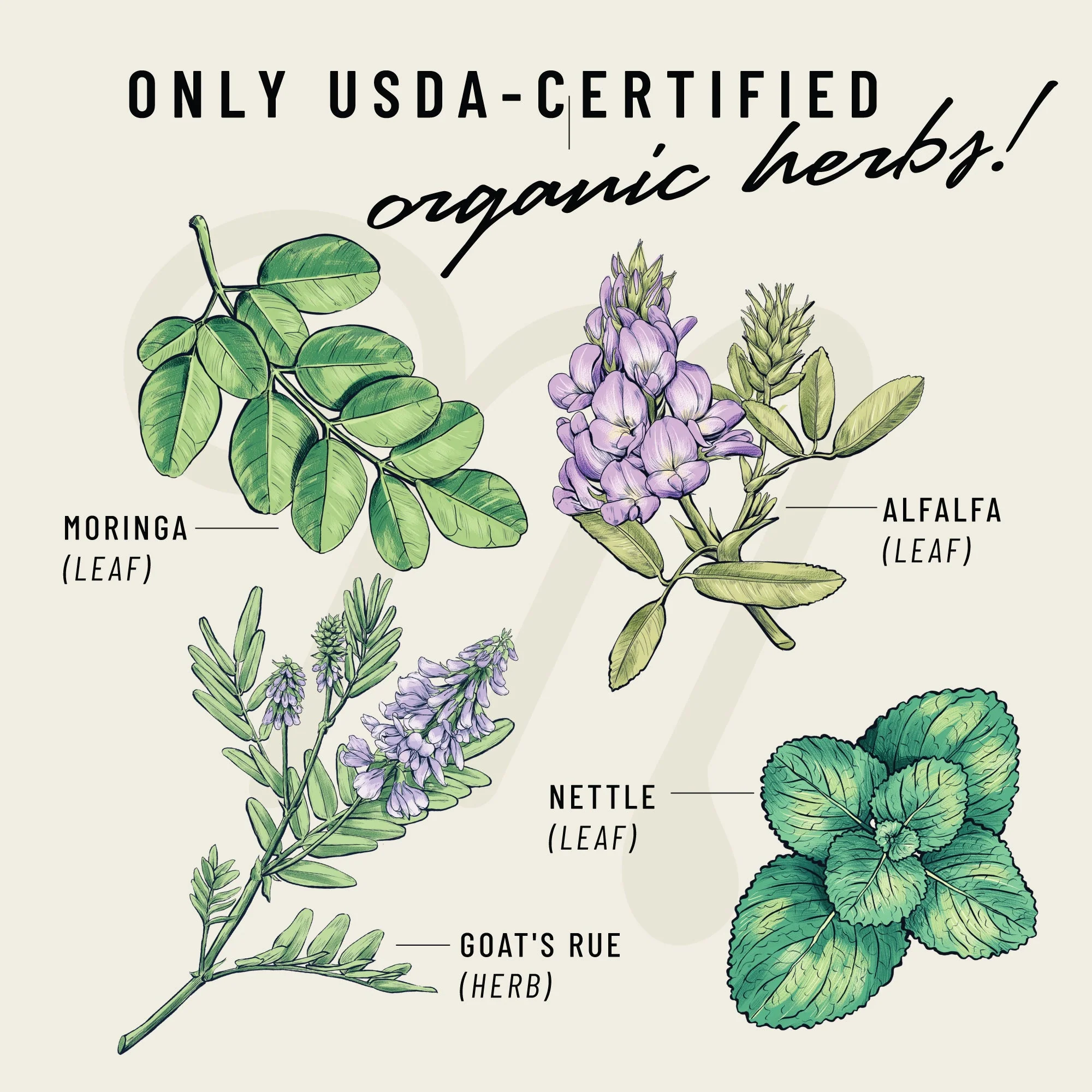 Cash Cow® - Image 6