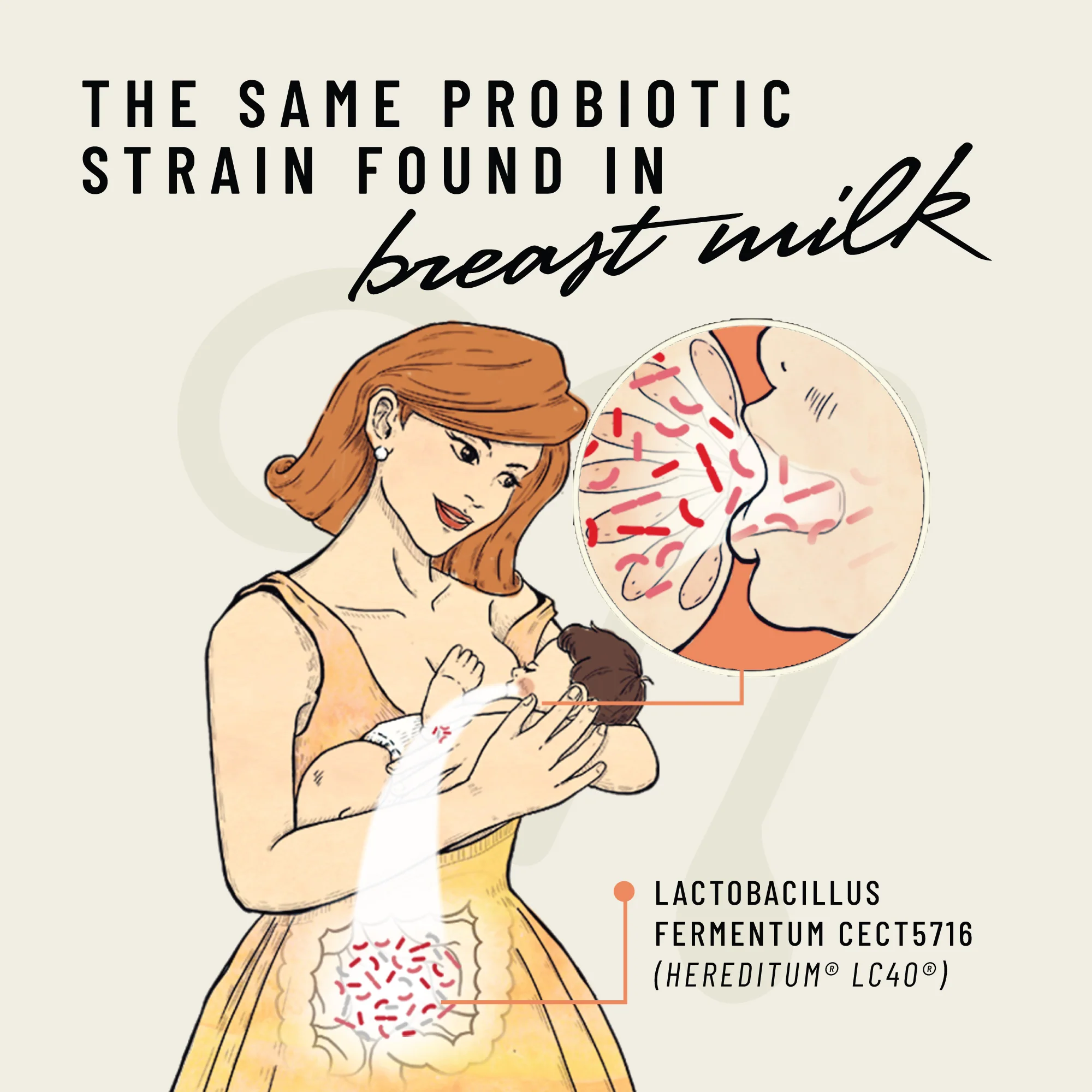 Lacta-Biotic® - Image 5