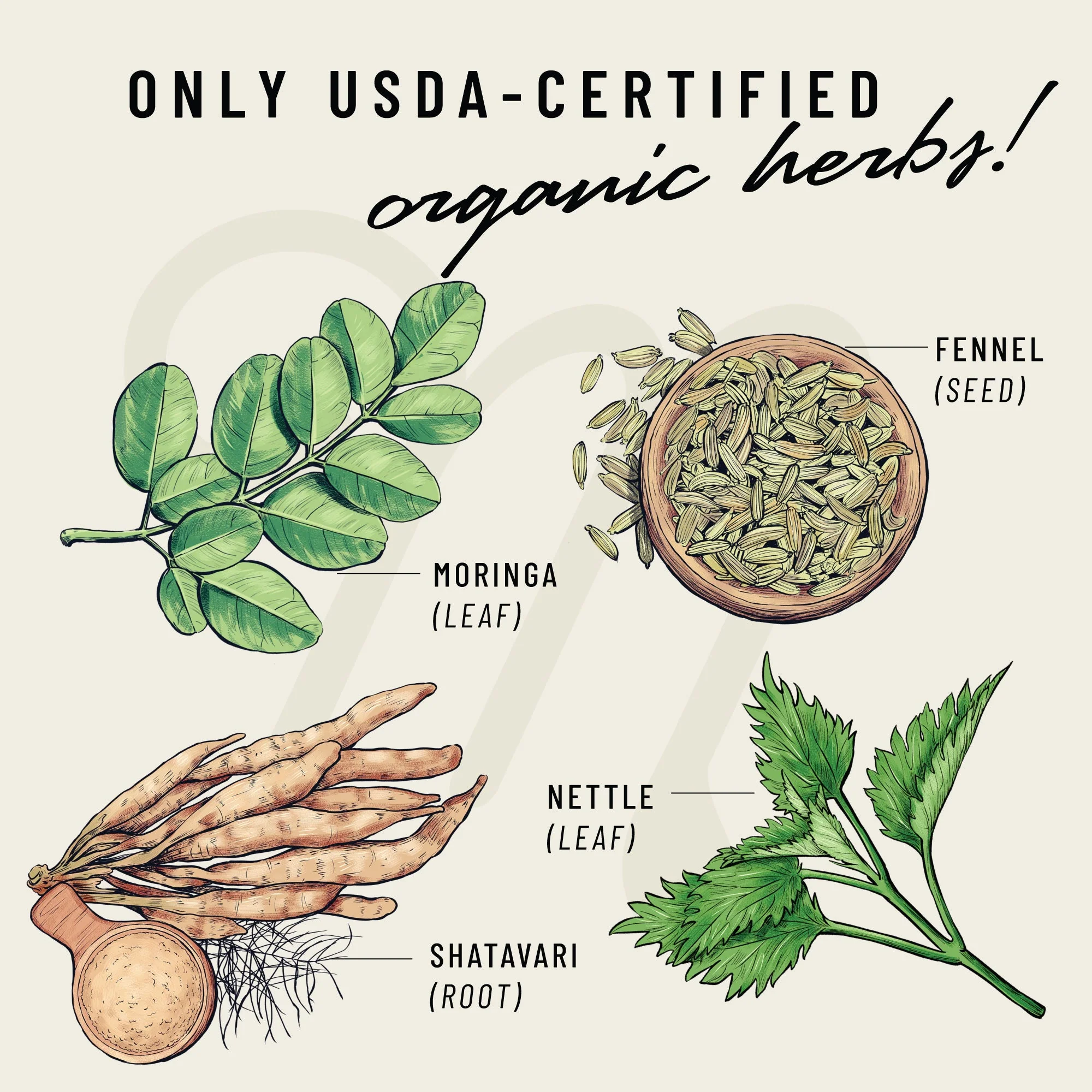 Milkapalooza® - Image 5