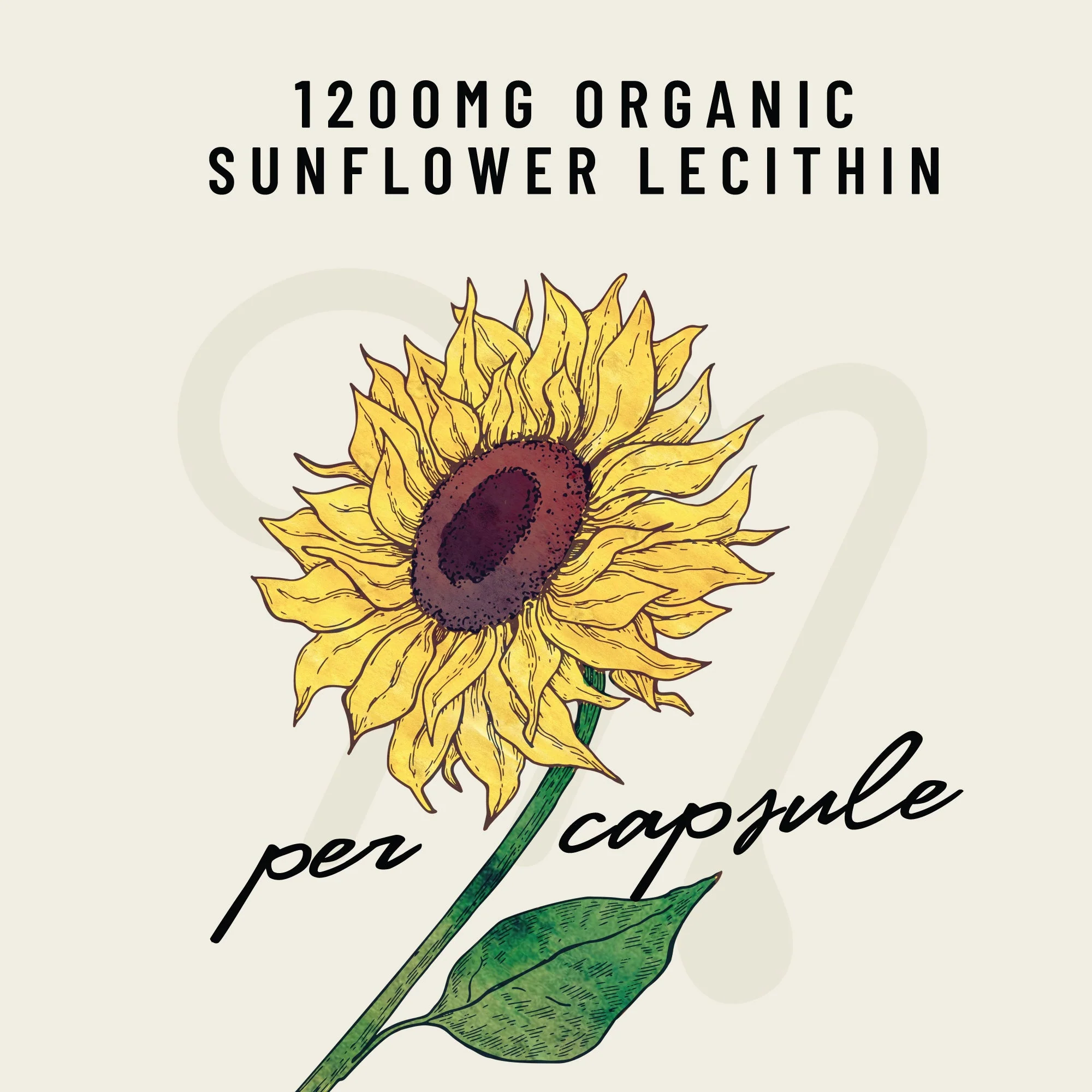 Sunflower Lecithin - Image 3