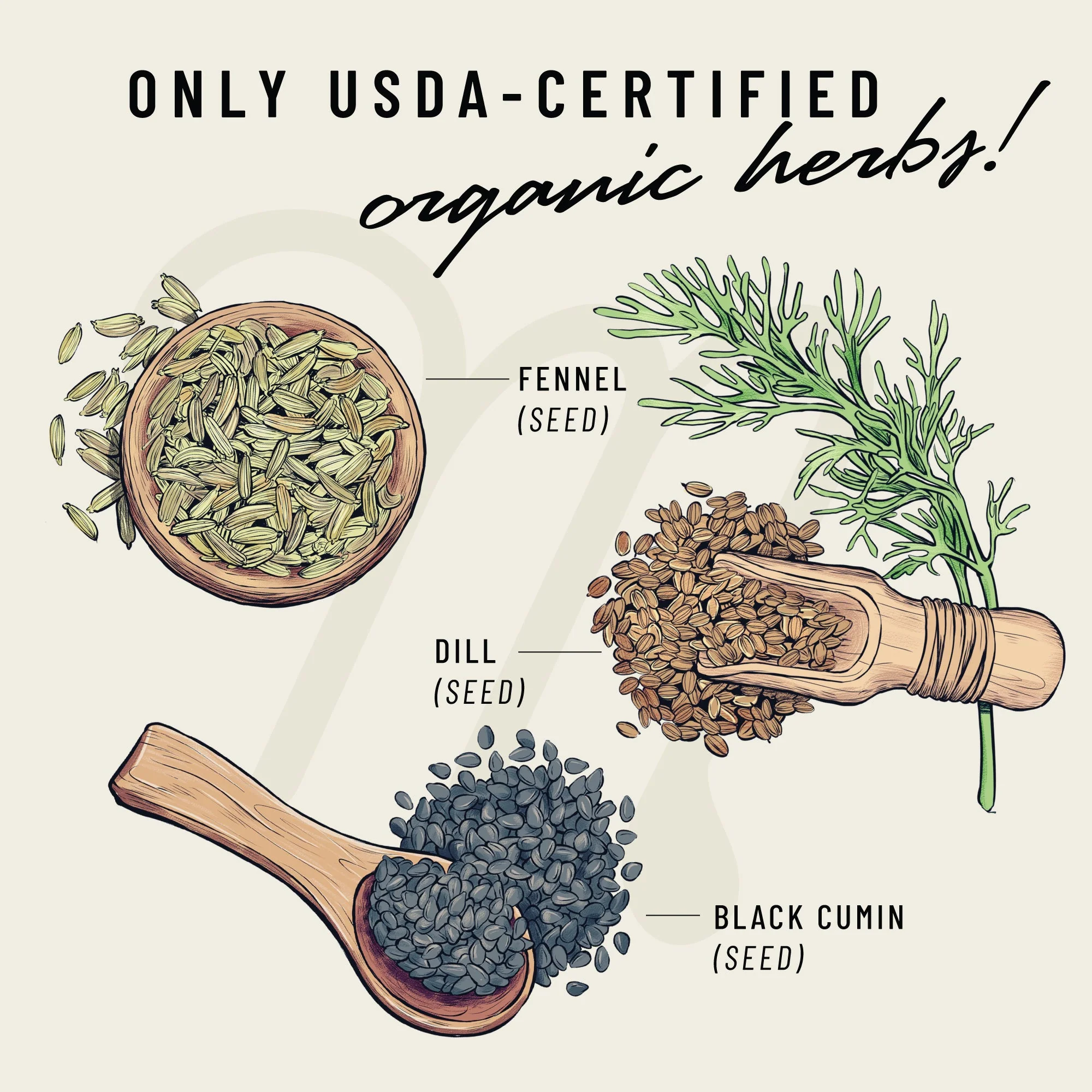 Pump Princess - Image 5